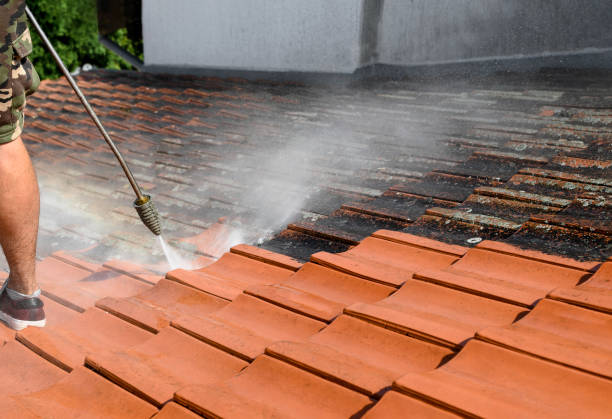 Best Roof Pressure Washing  in Joliet, IL